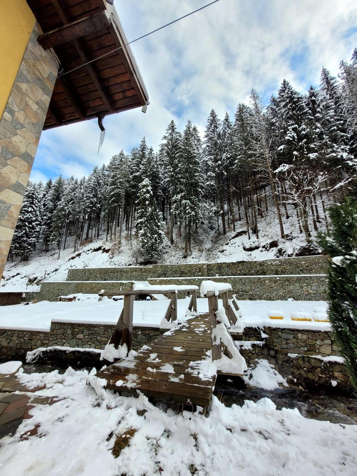 Vila Casa Maryon Rucăr Exteriér fotografie